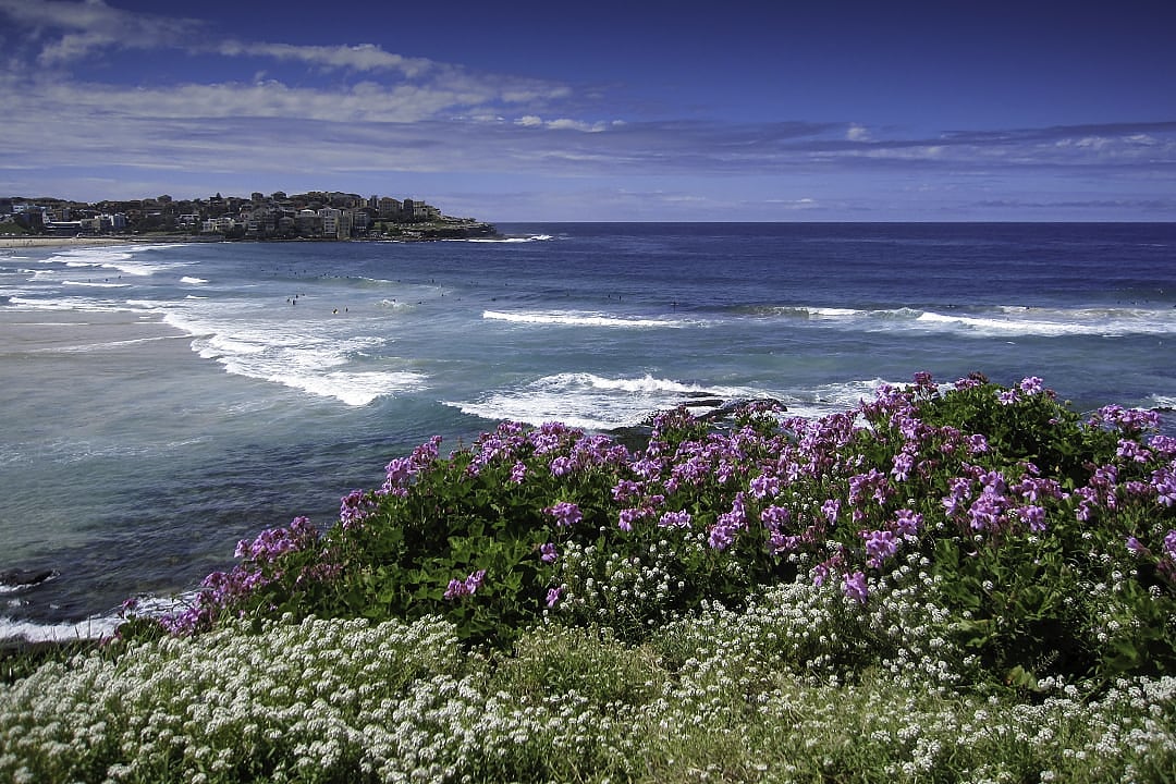 Bondi Bay in Sydney, Australia