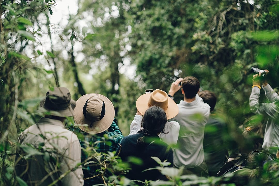 Tourists on a gorilla-trekking safari