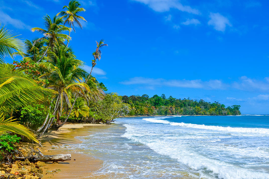 Tropical beach in Bocas del Toro, Panama