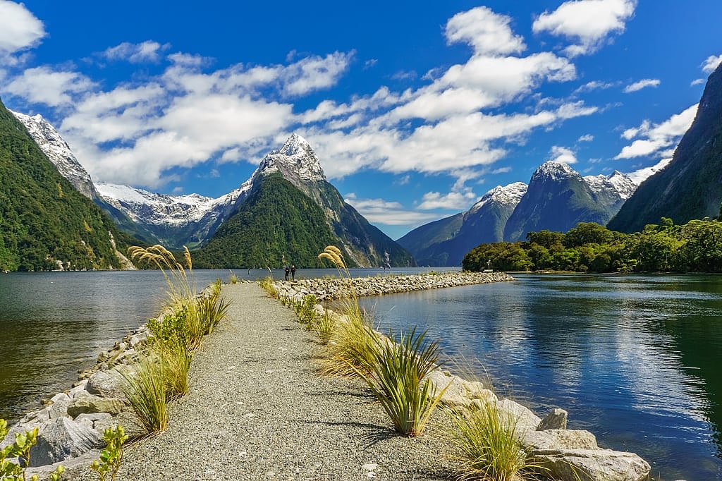 Pathway in the Milford Sound, New Zealand