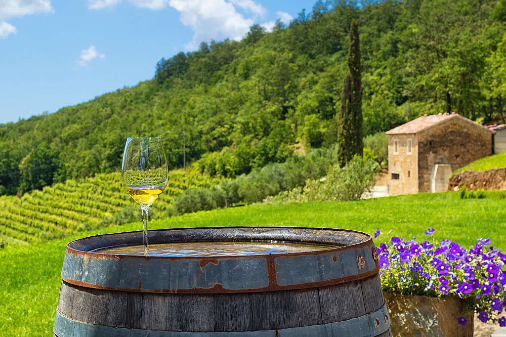 White wine and view of a vineyard in Italy