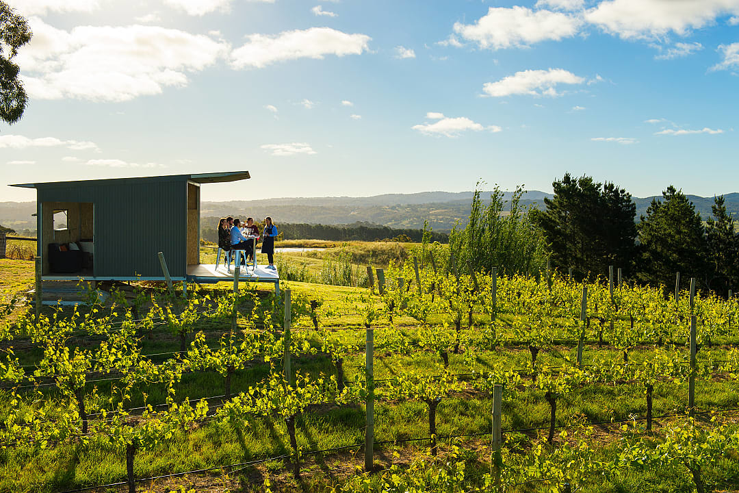 Couples wine tasting outside at The Lane Vineyard in Adelaide Hills, South Australia