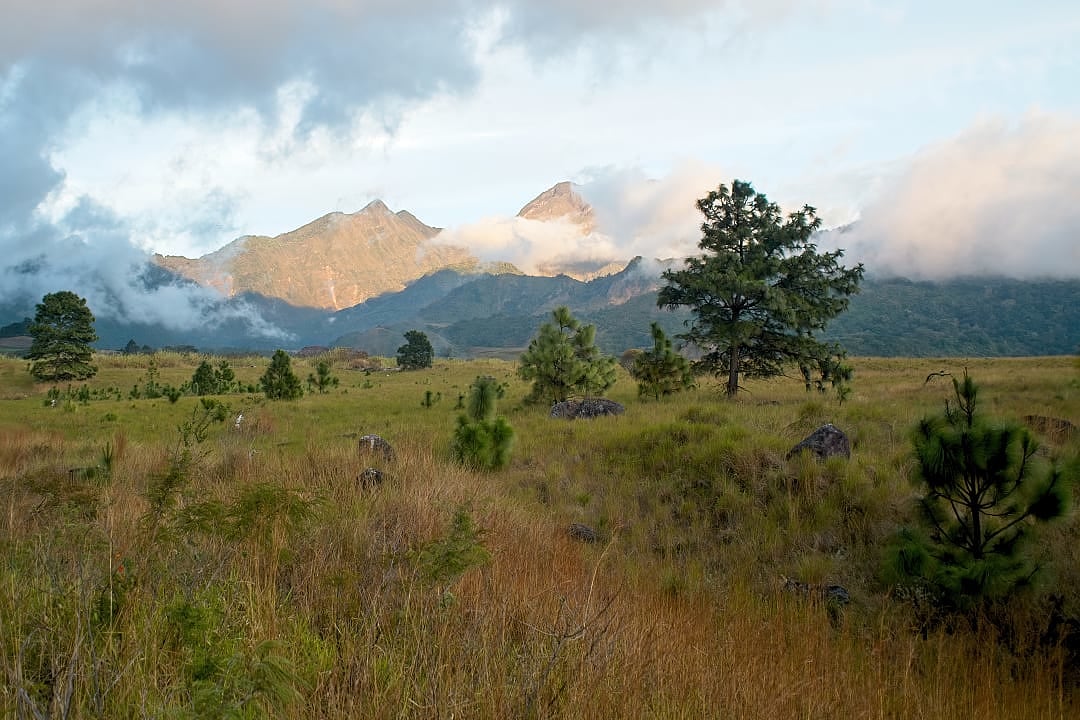 Barú Volcan in the Panama Highlands