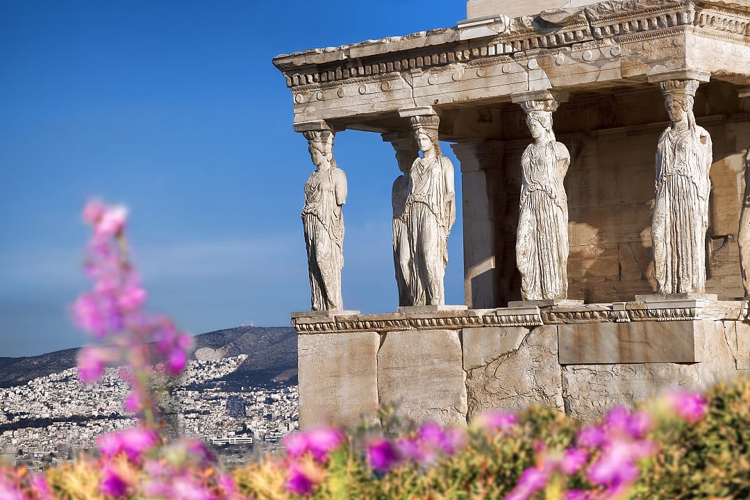Spring wildflowers at the Porch of the Caryatids at the Acropolis in Athens, Greece