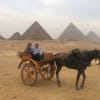 travel agencies to go to egypt