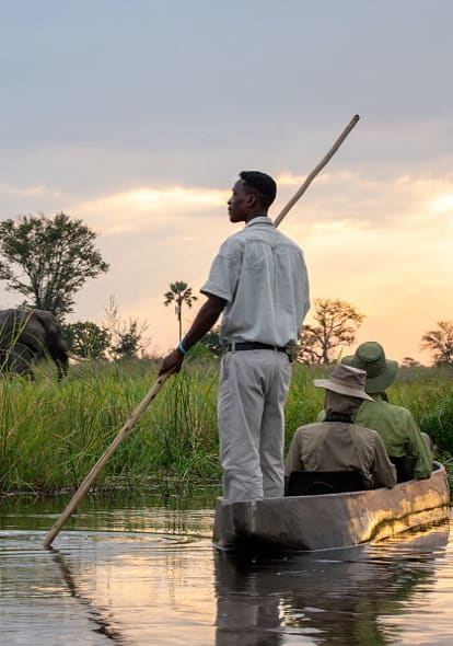 Safari guide poling mokoro through Okavango Delta at sunset with elephant grazing in the background