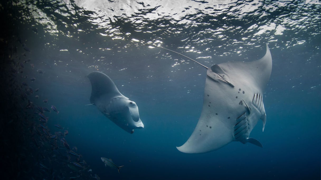 Don't turn a blind eye