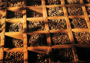 The perfect coffee: a matter of taste and expertise
