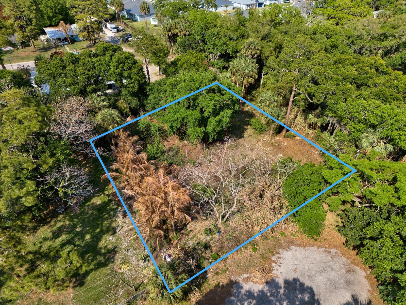 1202 Australian Ave — photo 3