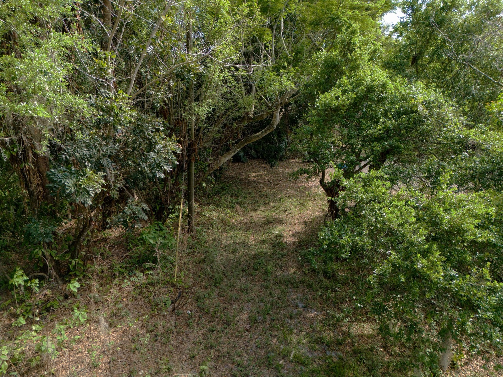 1202 Australian Ave — photo 9