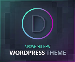 Divi WordPress Theme