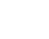 Bissell