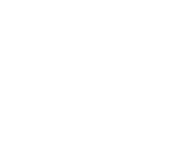 zleek