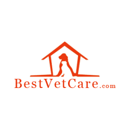 Best Vet Care
