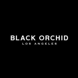 Black Orchid Denim