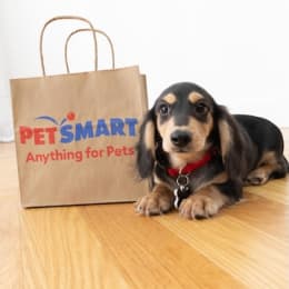 PetSmart