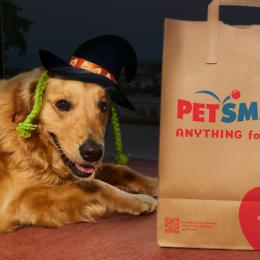 PetSmart