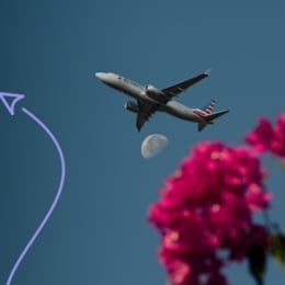 Alternative Airlines