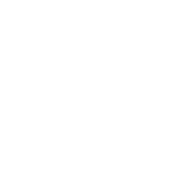 IRO Paris