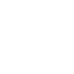 Speedo