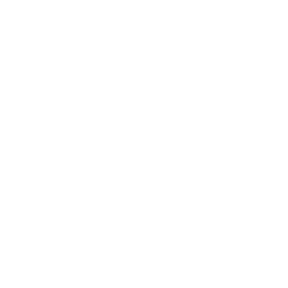 Leesa