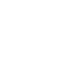 GameStop