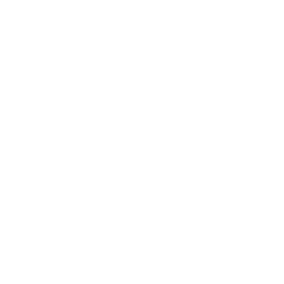 Skatie