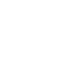 Dr. Scholl's