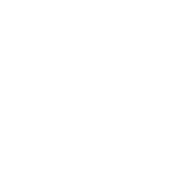 Southern Tide