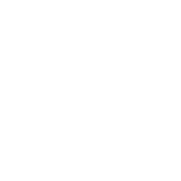Morgan Lane