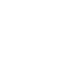 Vineyard Vines
