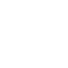 Burrow
