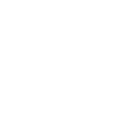 Geico