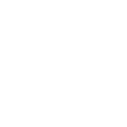 Bebe