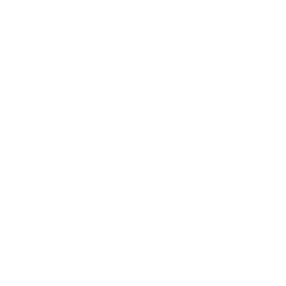 YETI