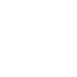 Canvas World