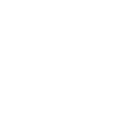 Bugatchi