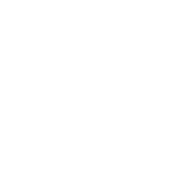 SimpleWill