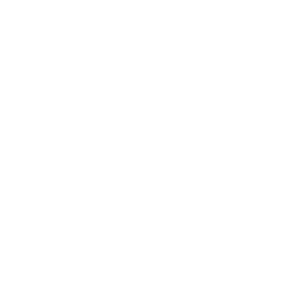 Macy's