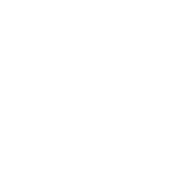 Goodyear Tire