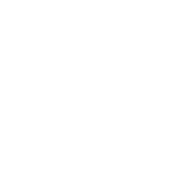 Saks Fifth Avenue
