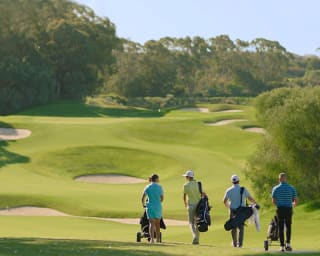 Drummond Golf