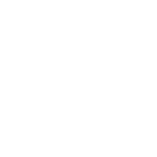 Nanlite