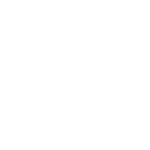 The Boutique