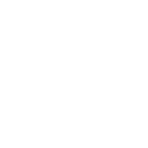Lane Bryant