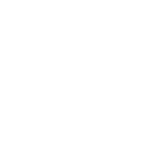 The Company Store
