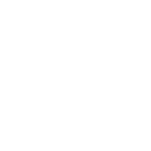 Airport Van Rental