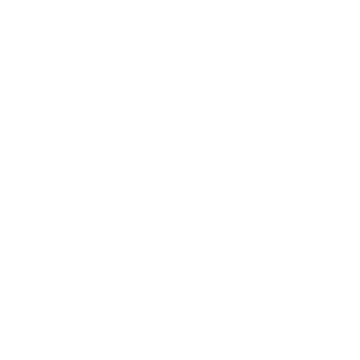 The NBA Store