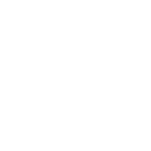 Primitive Skate