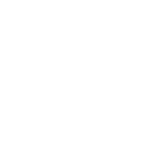 Opening Ceremony